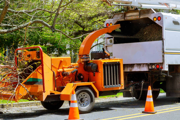 Best Firewood Processing and Delivery  in Saks, AL